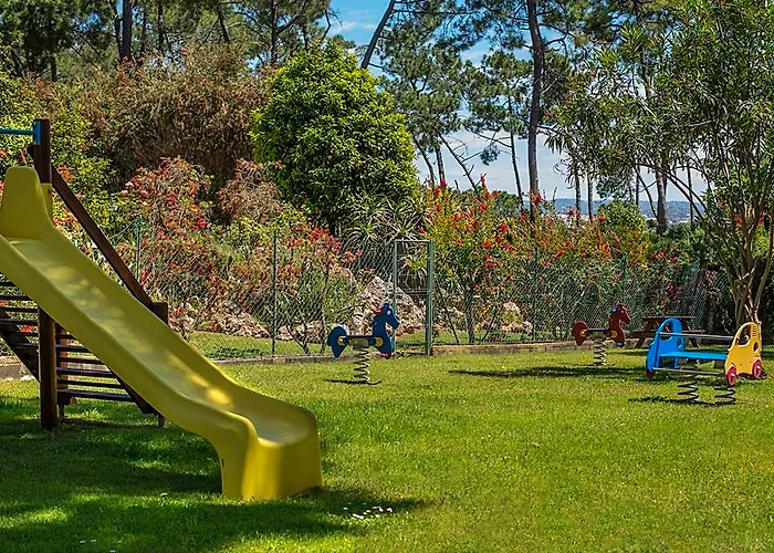 Ap Victoria Sport And